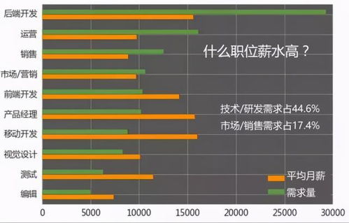 信息技術(shù)浪潮下的職業(yè)選擇 解析計算機專業(yè)的獨特優(yōu)勢與技術(shù)開發(fā)前景
